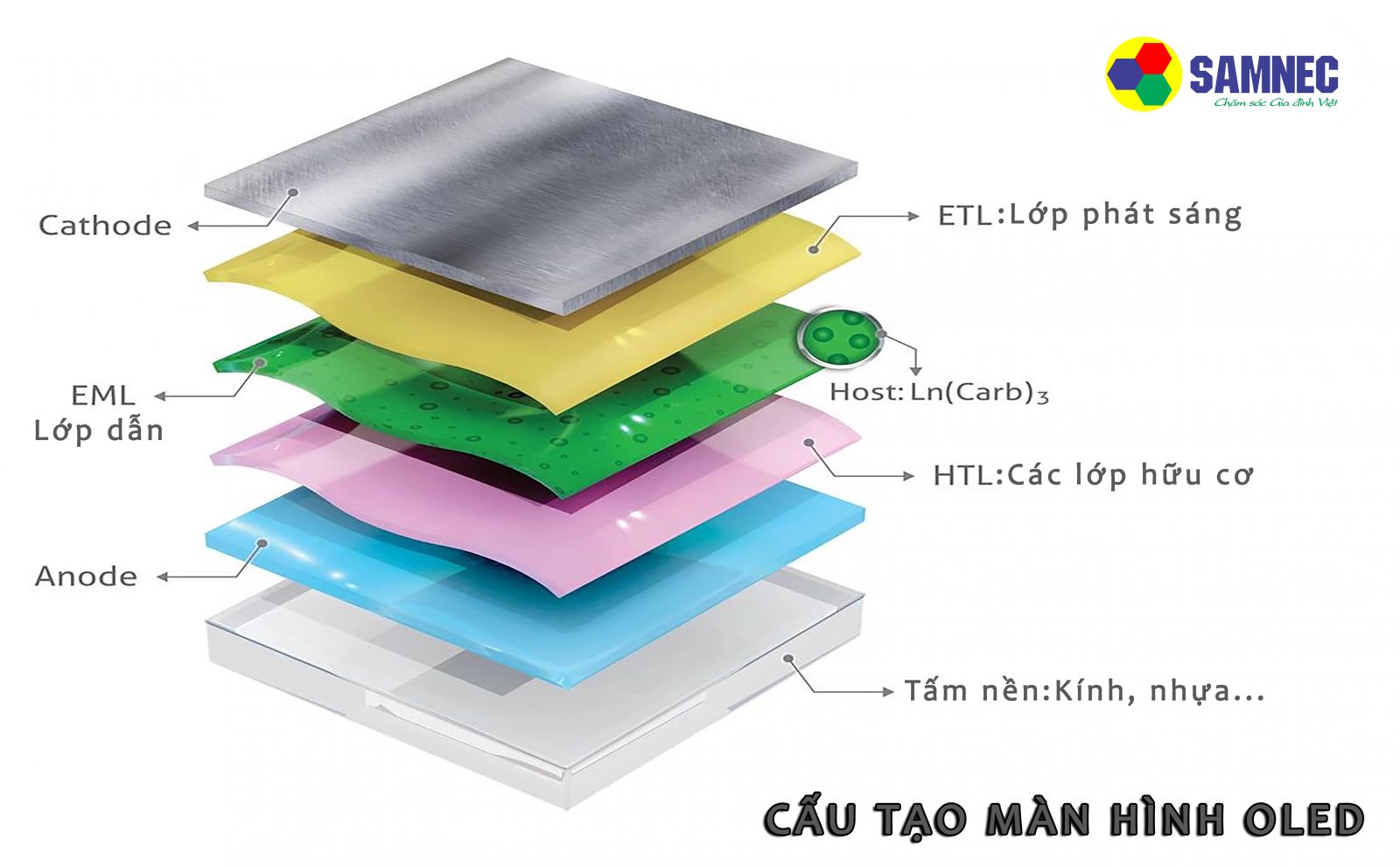 Cấu tạo màn hình Oled