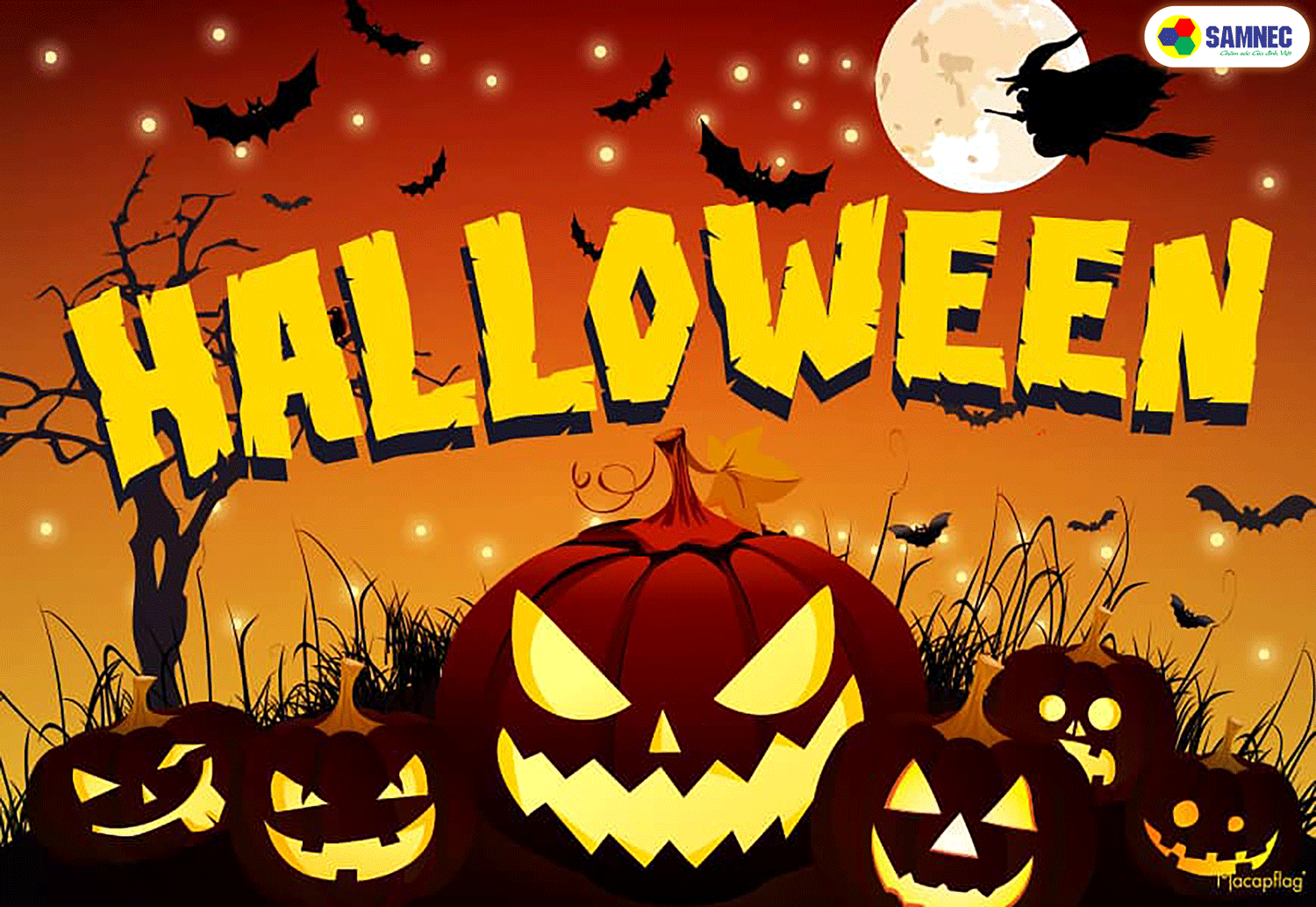 Halloween