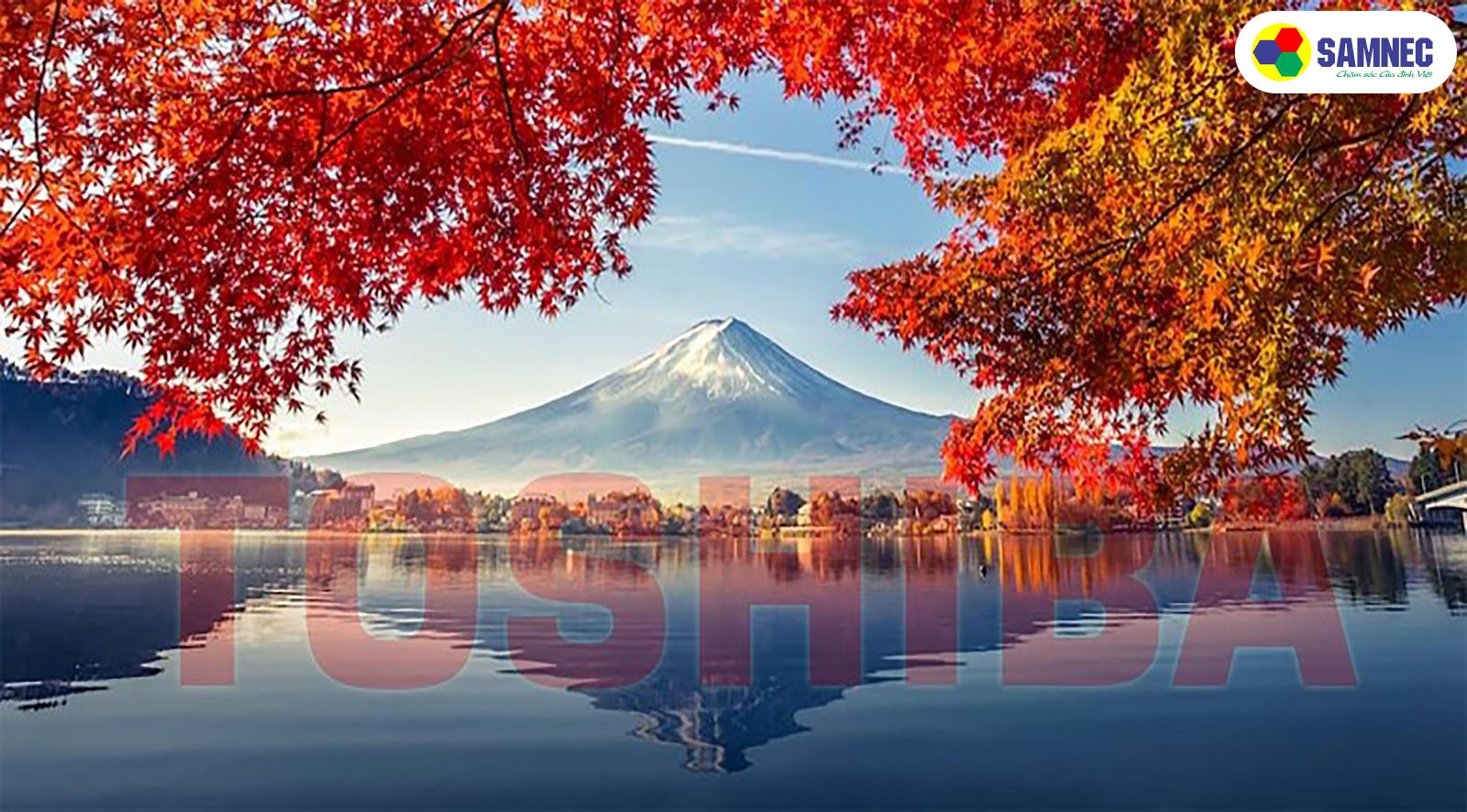 toshiba