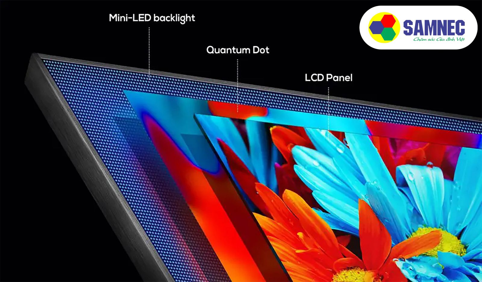Cấu tạo màn hình Neo Qled