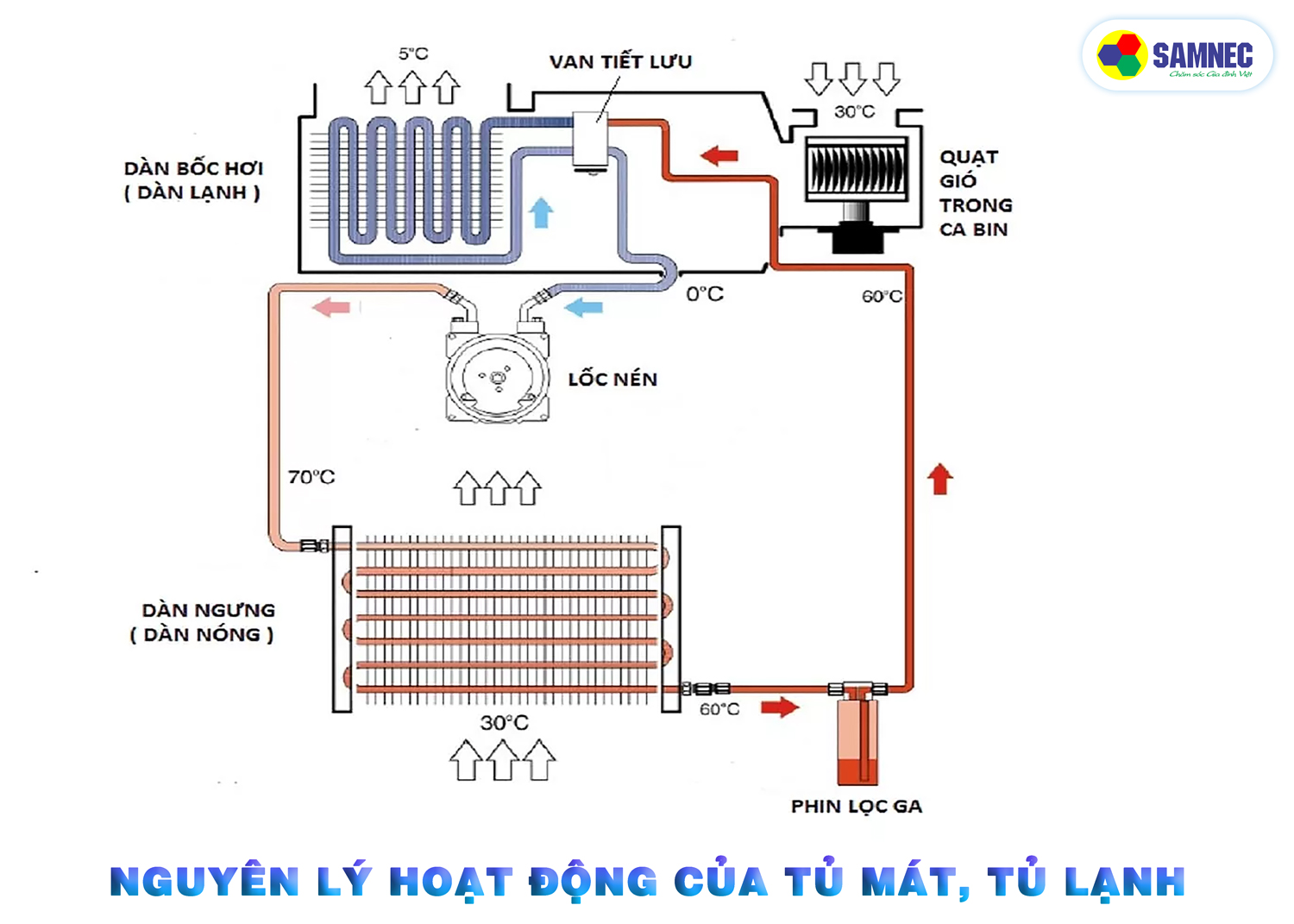 Nguyên lý hoạt động