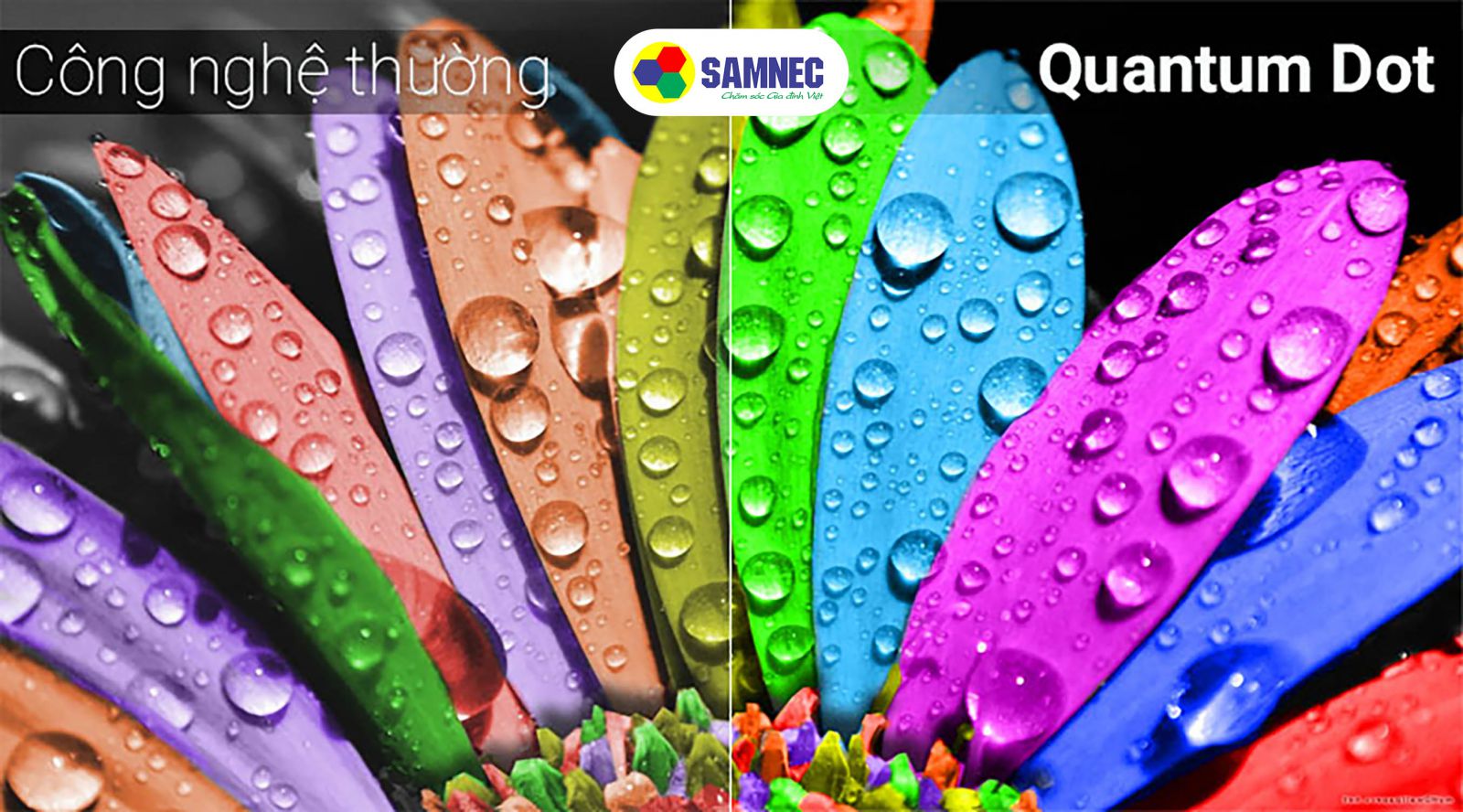 Công nghệ Quantum Dot trên tivi Samsung