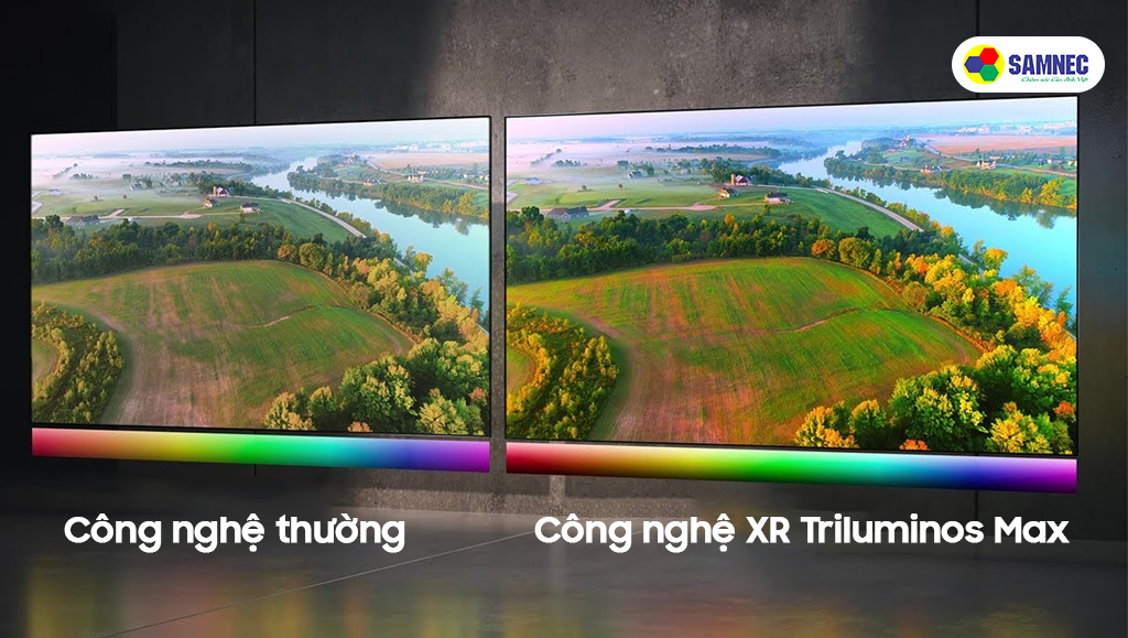 Công nghệ XR Triluminos Max đem lại màu sắc rực rỡ trên A95L
