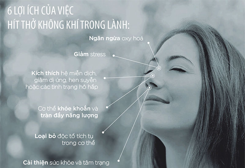 Không khí trong lành với màn lọc ActiFour - 4 lớp lọc tối ưu Không khí trong lành với màn lọc ActiFour - 4 lớp lọc tối ưu