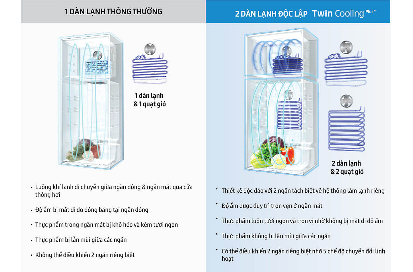 Kết quả hình ảnh cho Twin Cooling Plus (hai dàn lạnh độc lập)