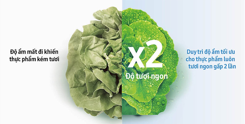 Ngăn rau quả lớn Big Box có khả năng giữ ẩm tối ưu Ngăn rau quả lớn Big Box có khả năng giữ ẩm tối ưu