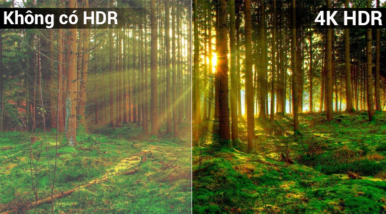 Công nghệ 4K HDR trên Smart Tivi 4K Sony 65 inch KD-65X7000F Công nghệ 4K HDR trên Smart Tivi 4K Sony 65 inch KD-65X7000F