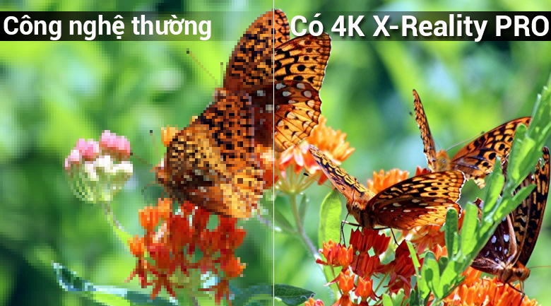 công nghệ 4K X-Reality PRO trên Android Tivi Sony 4K 85 inch KD-85X9000F công nghệ 4K X-Reality PRO trên Android Tivi Sony 4K 85 inch KD-85X9000F