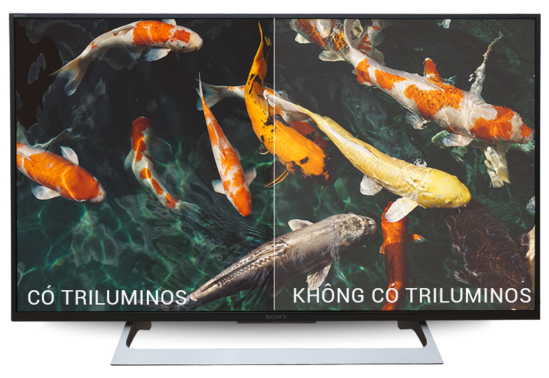 Android Tivi Sony 43 inch KD-43X8000E - TRILUMINOS™ Display Android Tivi Sony 43 inch KD-43X8000E - TRILUMINOS™ Display