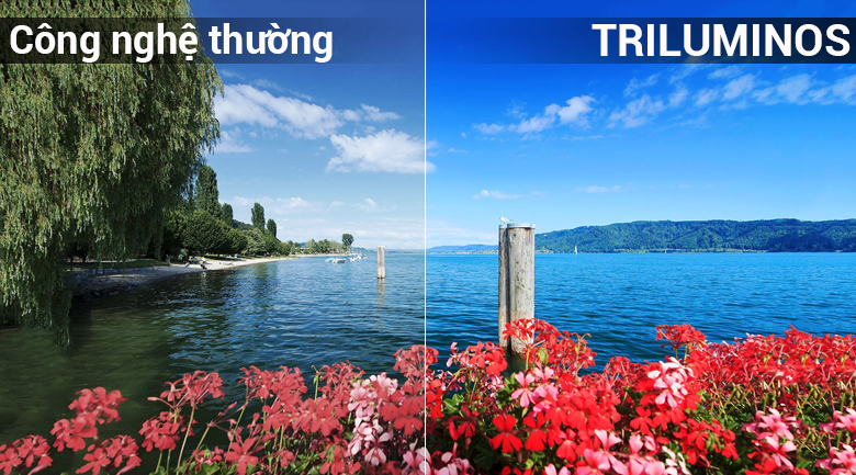 Công nghệ TRILUMINOS trên Android Tivi OLED Sony 4K 65 inch KD-65A8F Công nghệ TRILUMINOS trên Android Tivi OLED Sony 4K 65 inch KD-65A8F
