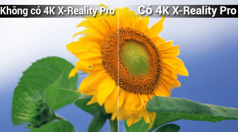 Công nghệ 4K X-Reality Pro trên Android Tivi OLED Sony 4K 65 inch KD-65A8F Công nghệ 4K X-Reality Pro trên Android Tivi OLED Sony 4K 65 inch KD-65A8F