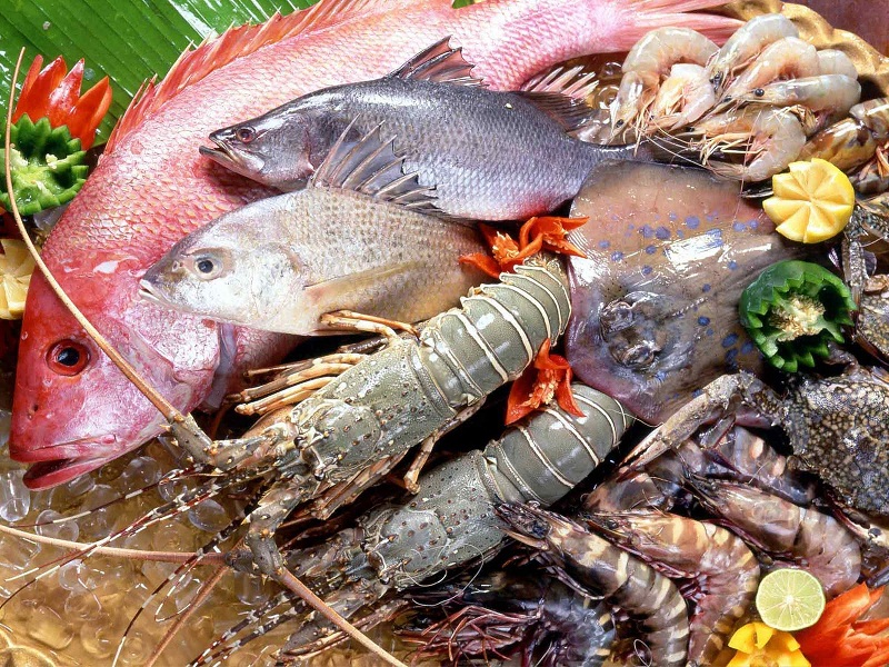 Bộ lọc khử mùi giúp khử sạch mùi hôi Bộ lọc khử mùi giúp khử sạch mùi hôi