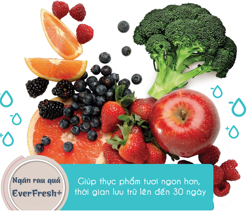 Ngăn rau quả tươi Everfresh+ Ngăn rau quả tươi Everfresh+
