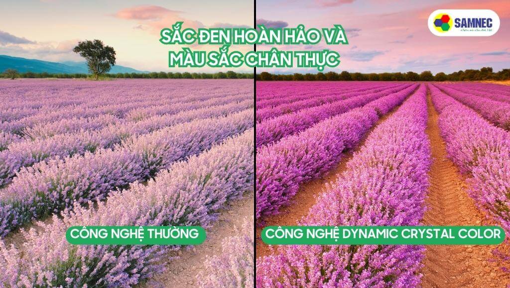 Công nghệ Dynamic Crystal Color trên tivi Samsung