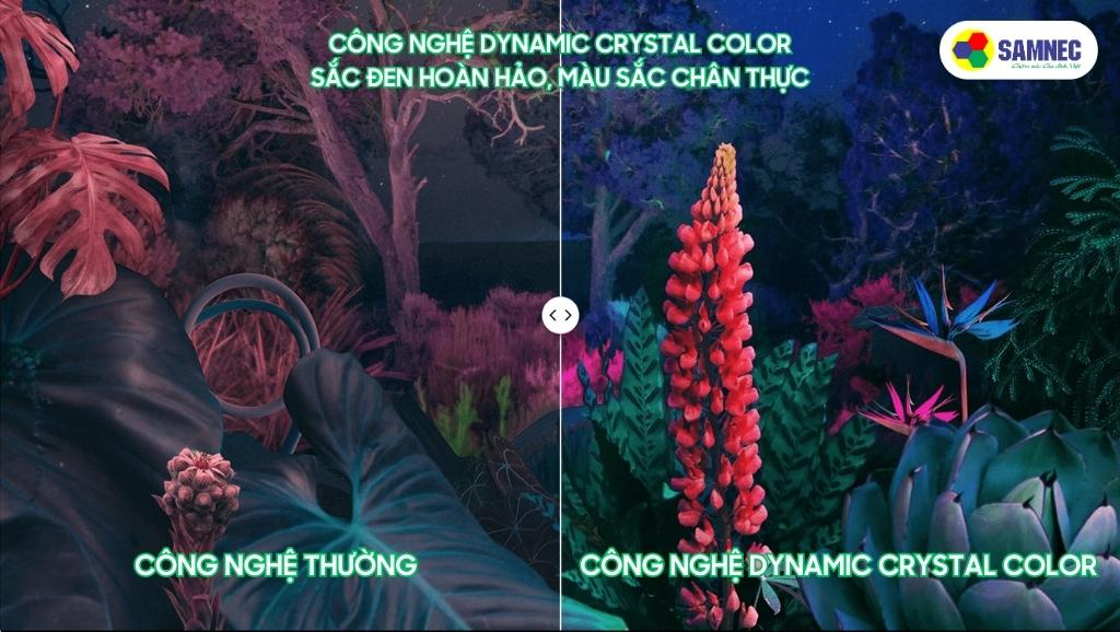 Công nghệ Dynamic Crystal Color trên chiếc Tivi Samsung CU8500