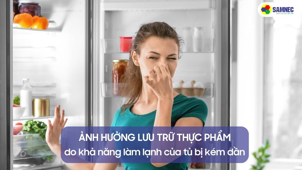 Tủ lạnh hết gas khiến thực phẩm không được bảo quản tốt