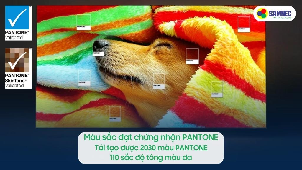 Màu sắc đạt chứng nhận PANTONE của Tivi Samsung QN900C