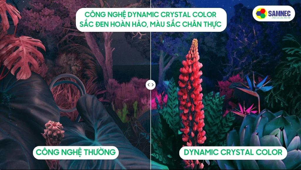 Công nghệ Dynamic Crystal Color của Tivi Samsung BU8000