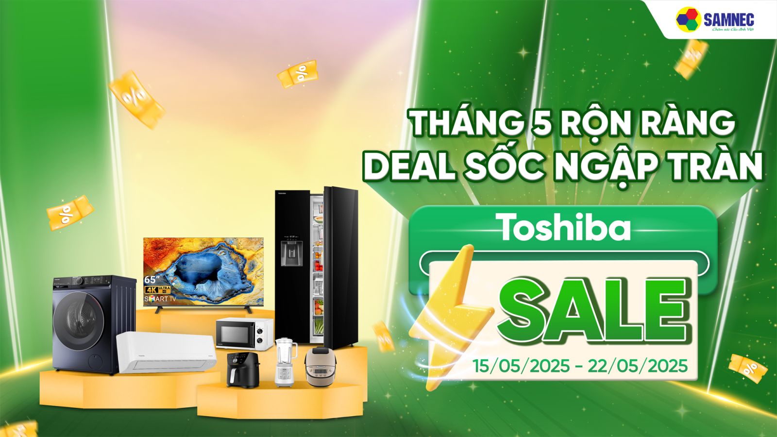 TOSHIBA FLASH SALE
