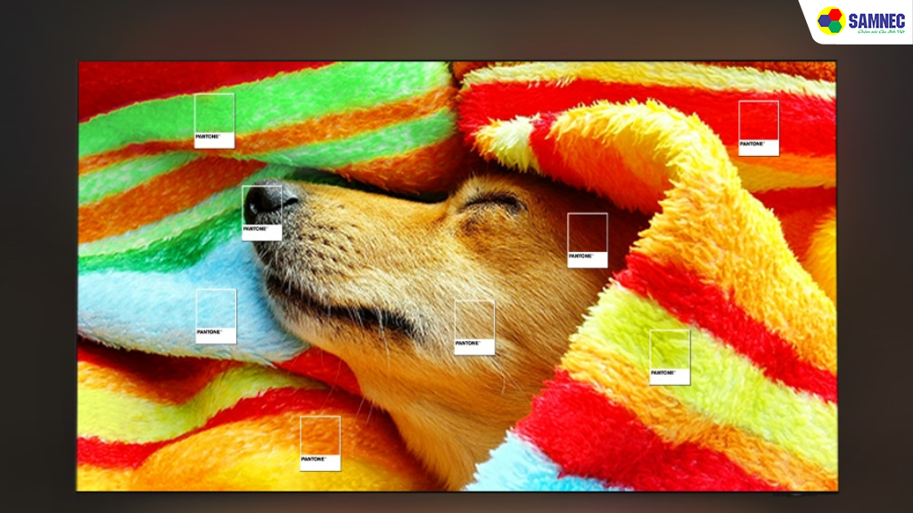 công nghệ pantone