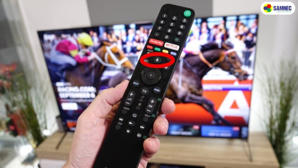 Lưu ý trước khi sử dụng chức năng tìm kiếm giọng nói tivi Sony