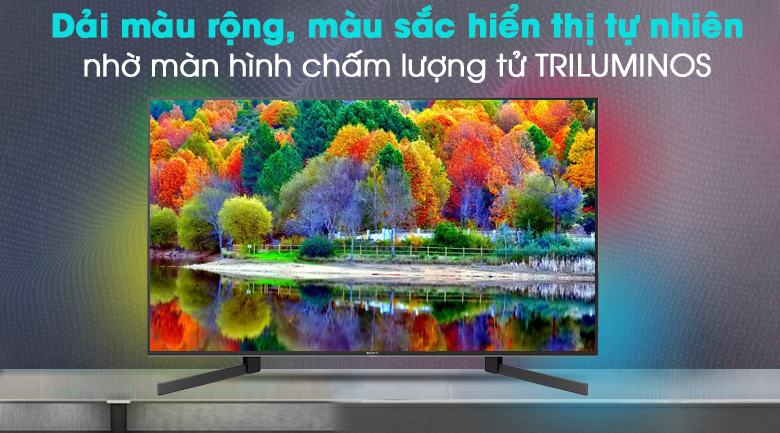 Android Tivi Sony 4K 49 inch KD-49X9500H - TRILUMINOS Display Android Tivi Sony 4K 49 inch KD-49X9500H - TRILUMINOS Display