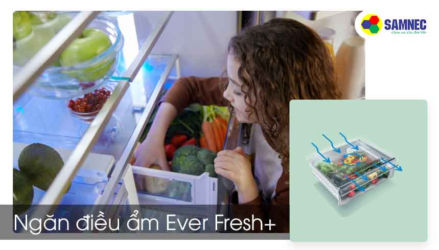 Công nghệ Ngăn điều ẩm EverFresh+ trên tủ lạnh Beko 371 lít RDNT371E50VZDHFSU