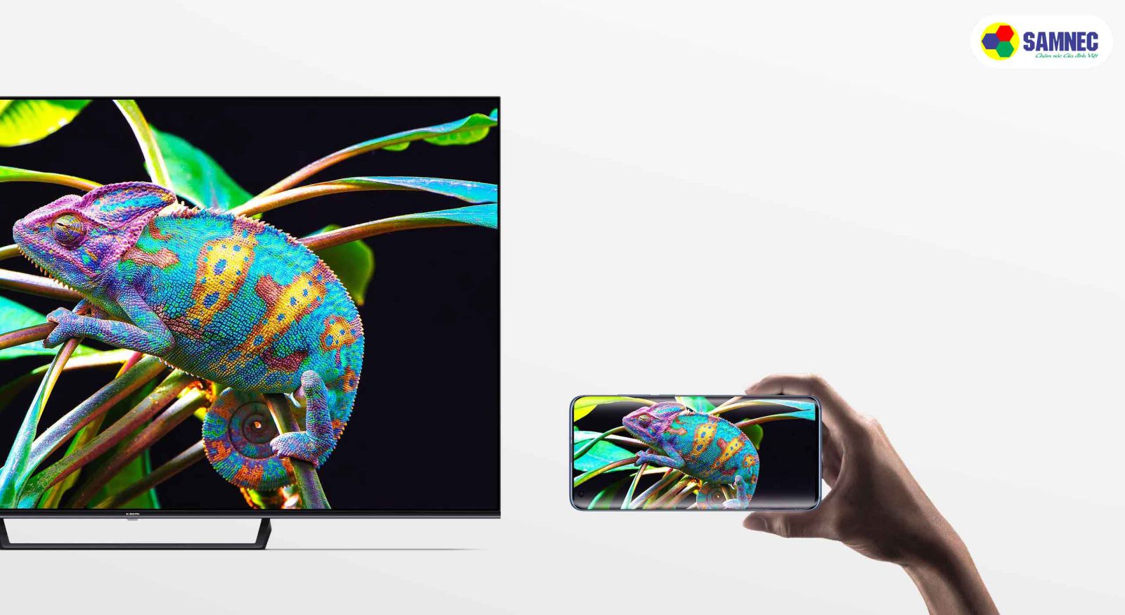 Chromecast Built-in trên Xiaomi Google Tivi 4K 65 inch 65A Pro L65M8-A2SEA