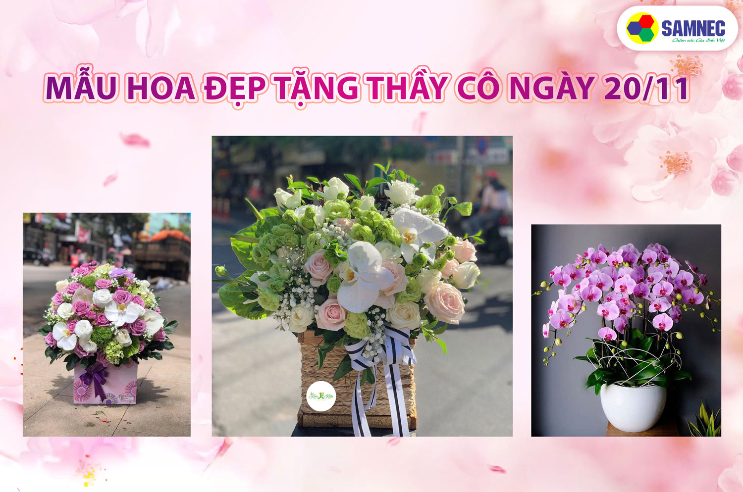 Hoa đẹp tặng thầy cô