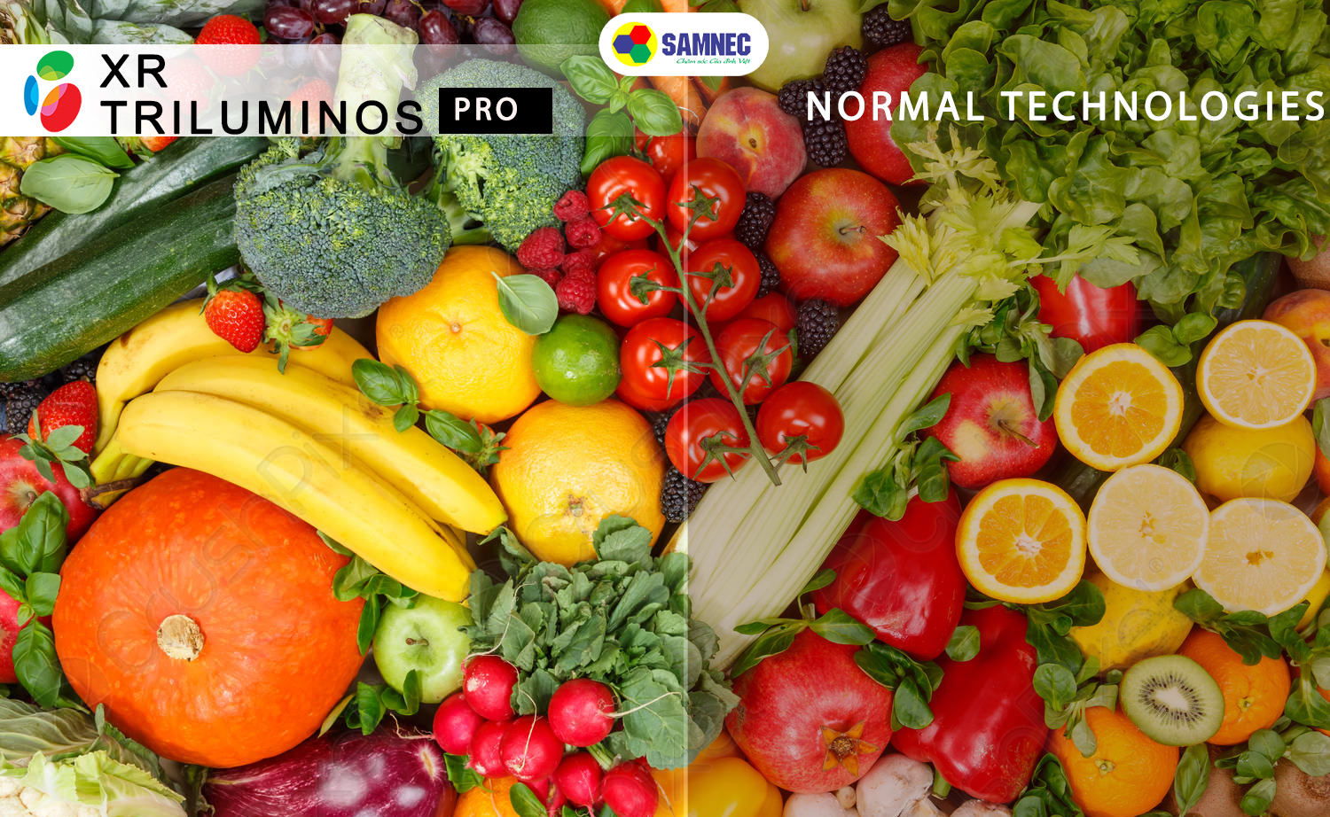 Công nghệ XR Colour trên tivi Sony