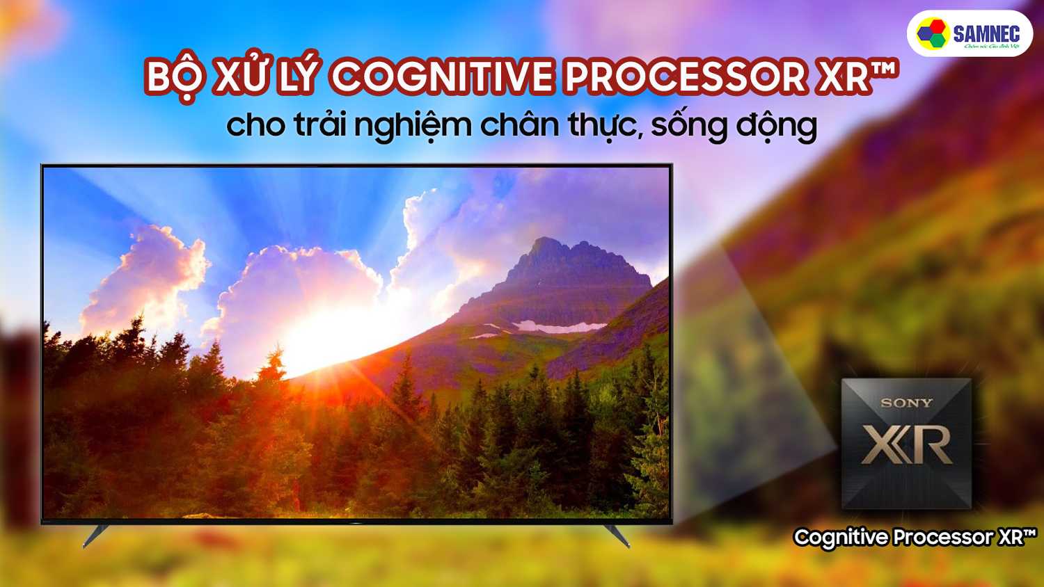 bộ xử lý Cognitive Processor XR™ trên tivi Sony