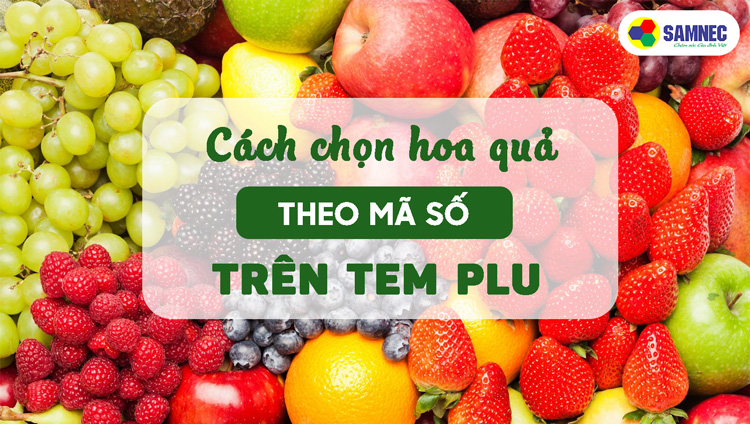 Chọn hoa quả theo mã số trên tem PLU