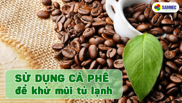 cách khử mùi trong tủ lạnh