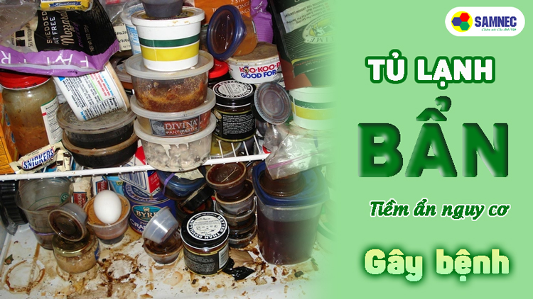 tác hại khi tủ lạnh không được vệ sinh