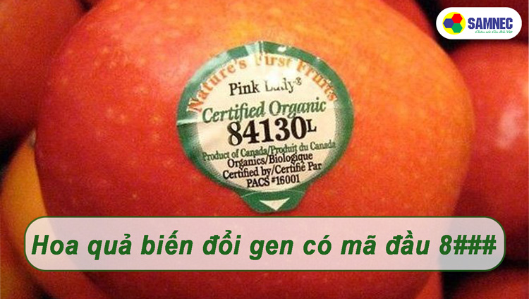 Mã số trái cây biến đổi gen bắt đầu bằng số 8