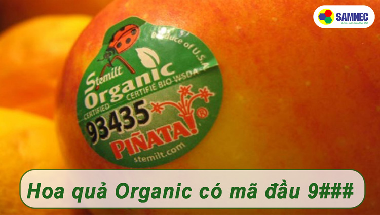 Trái cây hữu cơ Organic bắng đầu bằng mã số 9