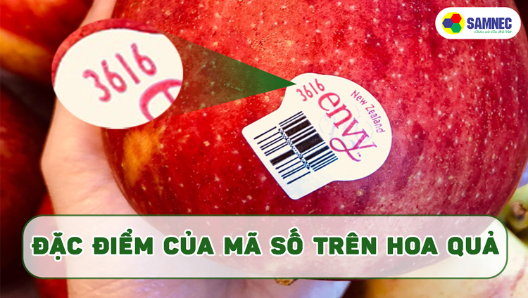 Đặc điểm của mã số trên tem hoa quả