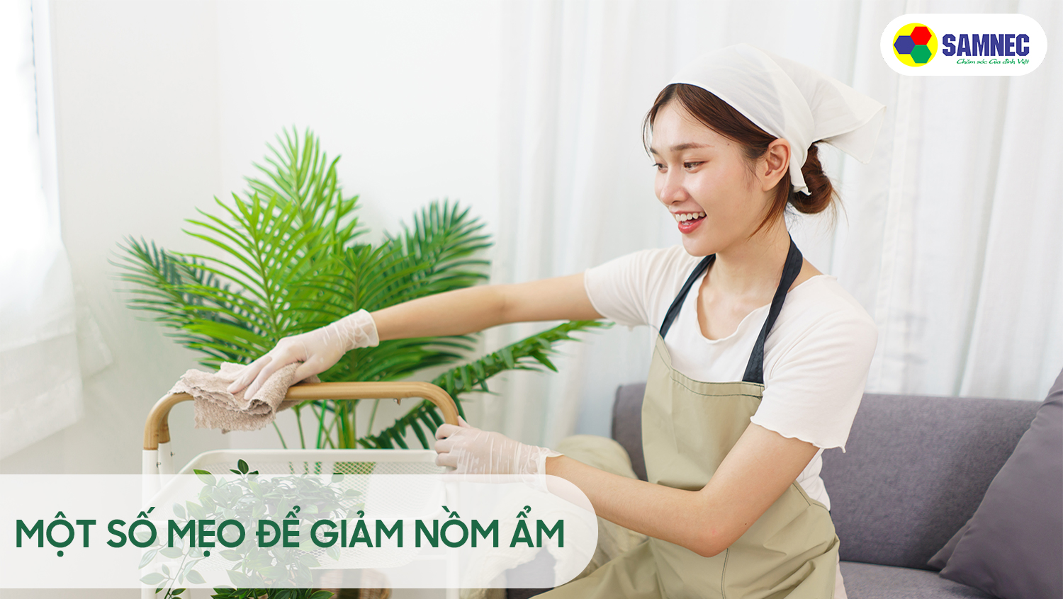 Mẹo để làm giảm nồm ẩm