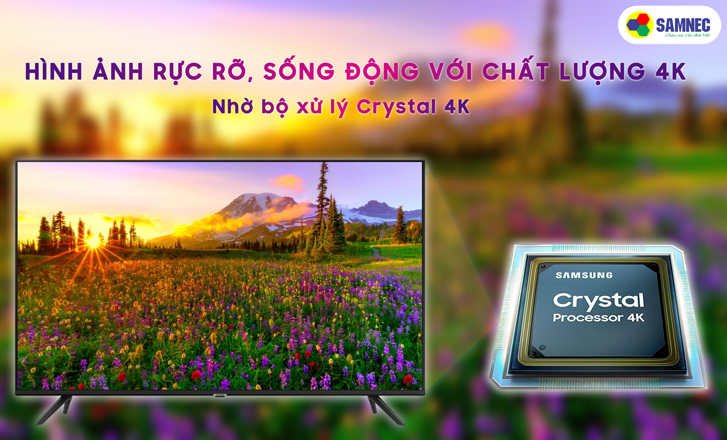 bo xử lý crystal