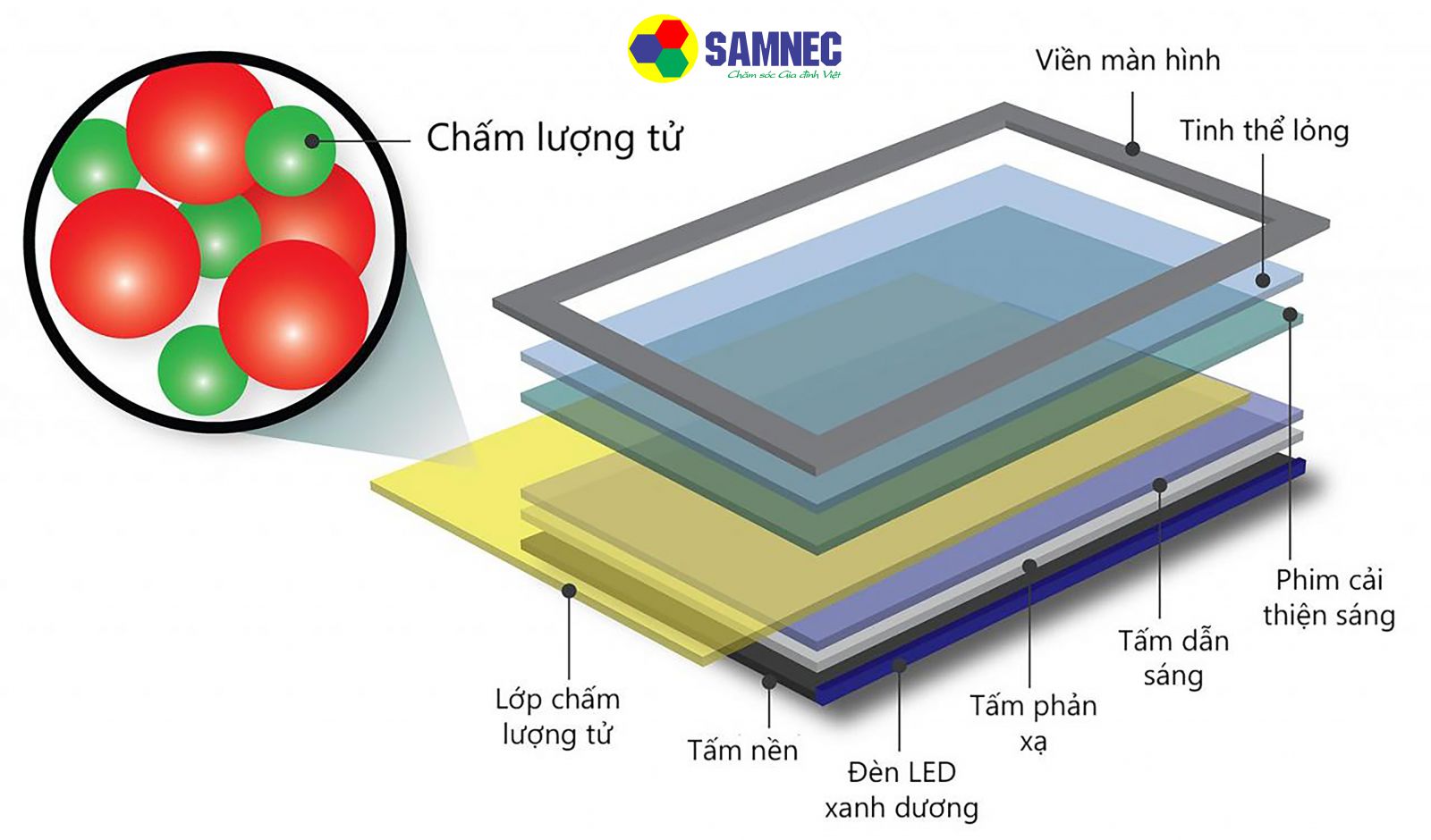 màn hình Qled trên tivi Samsung Q60B