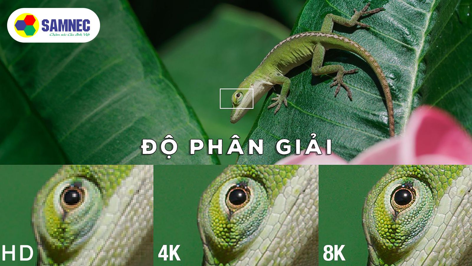 độ phân giải