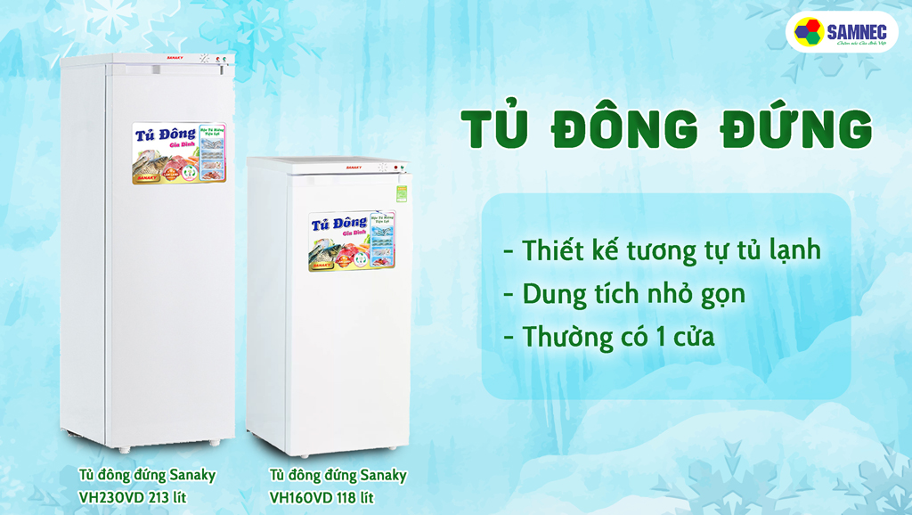 Phân loại tủ đông, tủ đông đứng