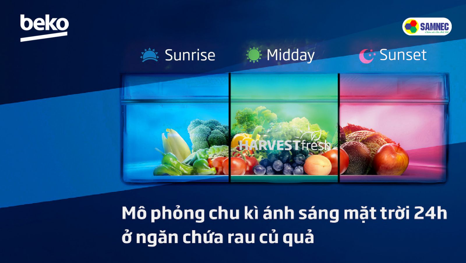 Cách thức hoạt động của công nghệ Harvest Fresh trên tủ lạnh Beko