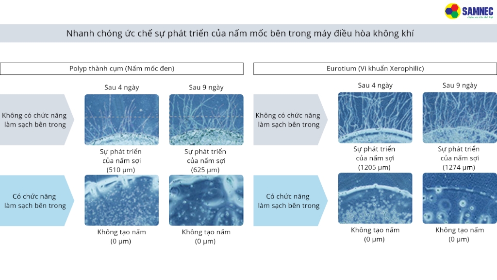 Hiệu quả gấp 4 lần