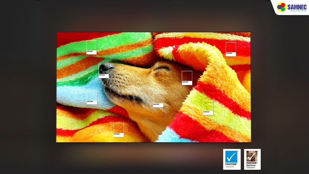 Tivi 4K QA65Q7FAAKXXV đạt chứng nhận PANTONE 