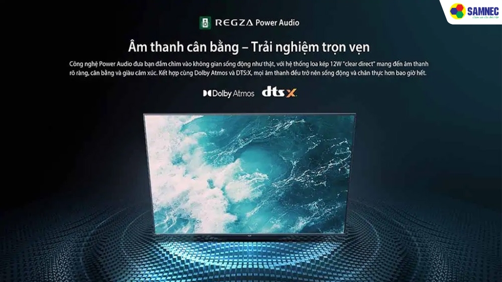 Regza Power Audio