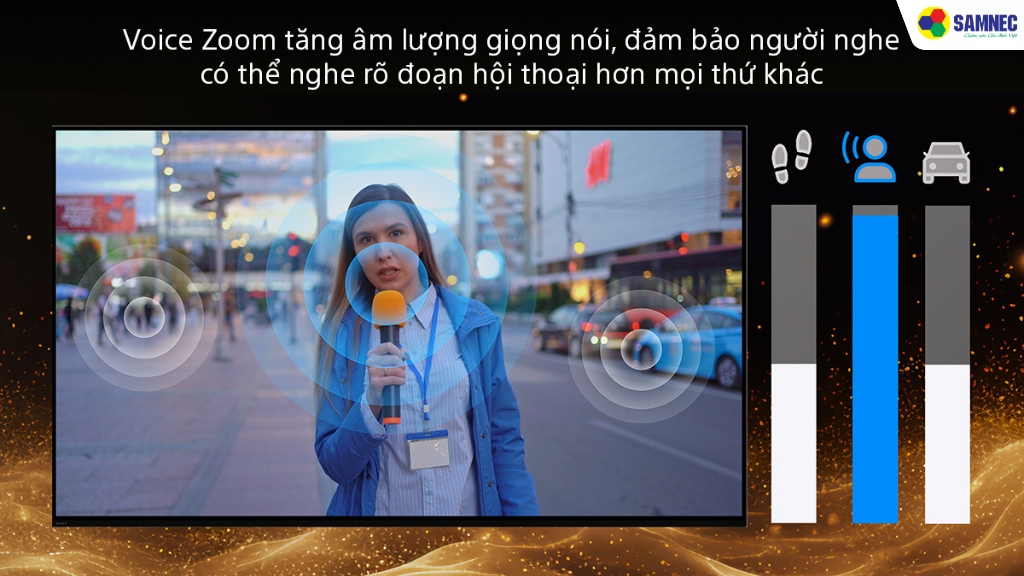 Voice Zoom 3