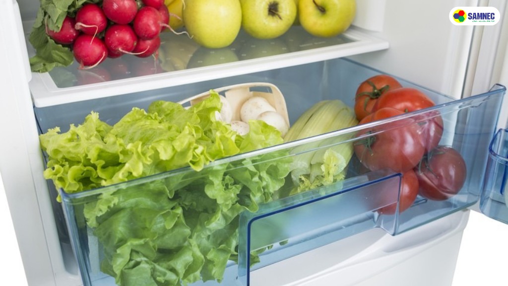 cách điều chỉnh nhiệt độ tủ lạnh thích hợp
