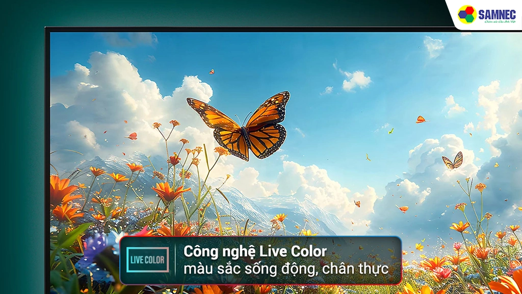 Sony Google TV 4K LED NỀN BRAVIA 2 II 50 inch K-50S25VM2- Công nghệ live Color