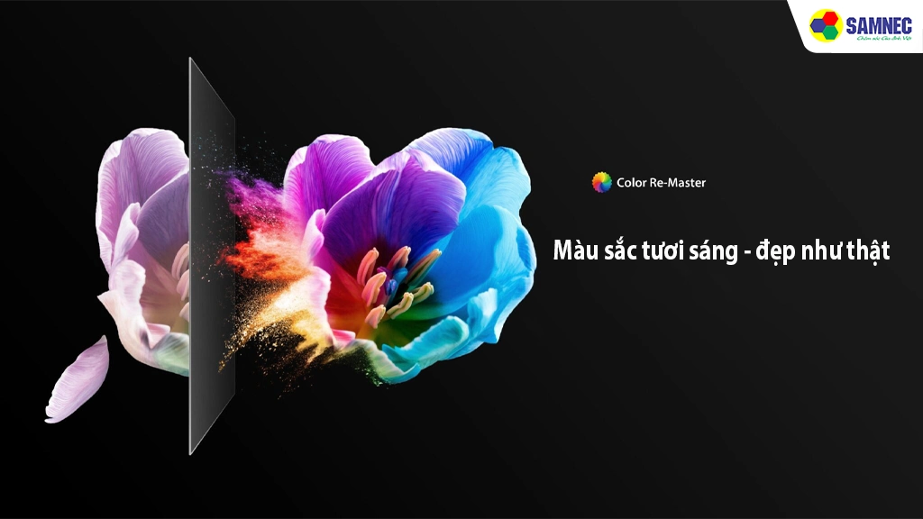 Smart Tivi QLED 4K 65 inch Toshiba 65M450NP- Công nghệ hình  ảnh
